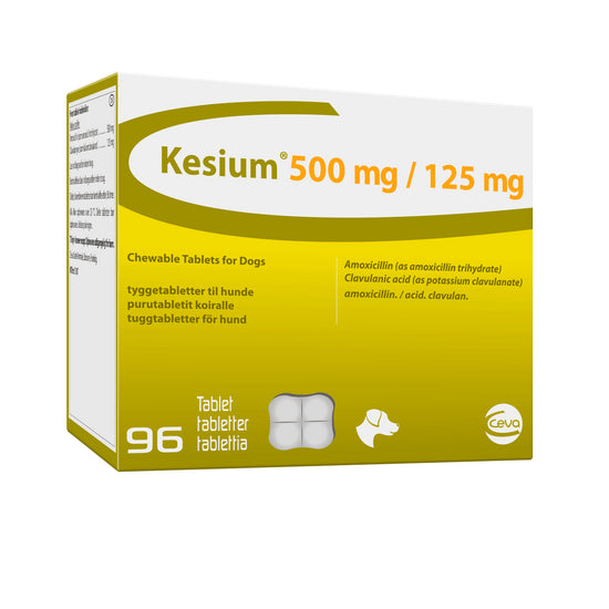 Kesium® Chewable Tablets for Dogs 500mg/125mg