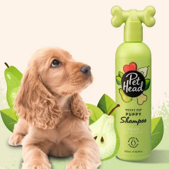 Pet Head Mucky Pup Puppy Shampoo for Dogs with Pear and Chamomile