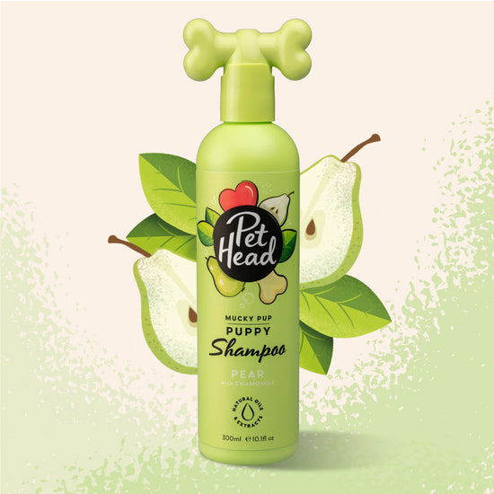 Pet Head Mucky Pup Puppy Shampoo for Dogs with Pear and Chamomile