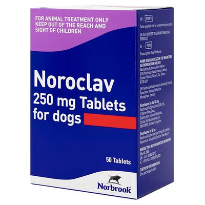 Noroclav® Tablets for Dogs 250mg