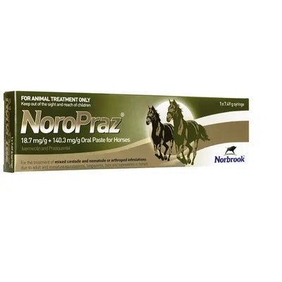 NoroPraz® Oral Paste Wormer for Horses 18.7mg/g + 140.3mg/g