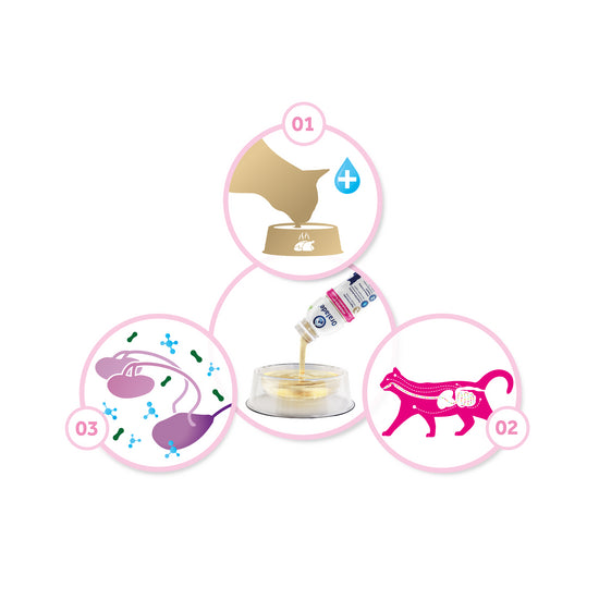 Oralade® Advanced RF+ Oral Rehydration Support Liquid for Cats