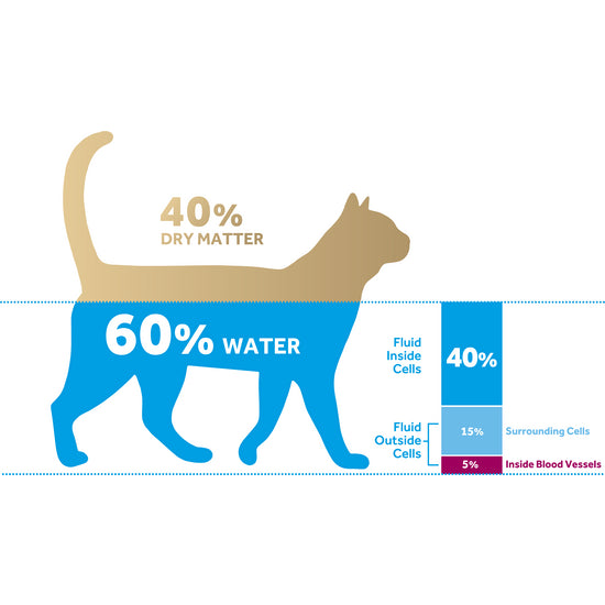 Oralade® Advanced RF+ Oral Rehydration Support Liquid for Cats