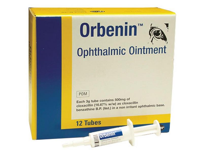 Orbenin Ophthalmic Eye Ointment 16.67% w/w - Single Tube