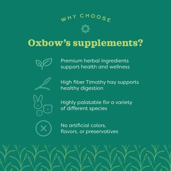 Oxbow® Natural Science Joint Support Supplement for Small Pets