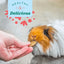 Oxbow® Natural Science Joint Support Supplement for Small Pets