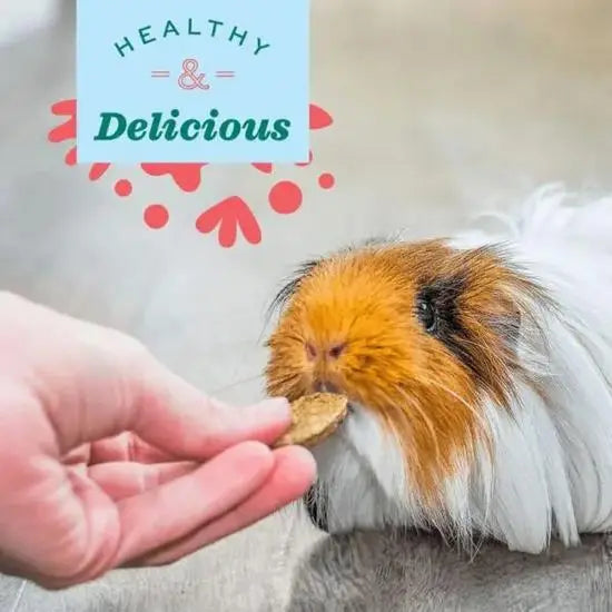 Oxbow® Natural Science Urinary Support Supplement for Small Pets