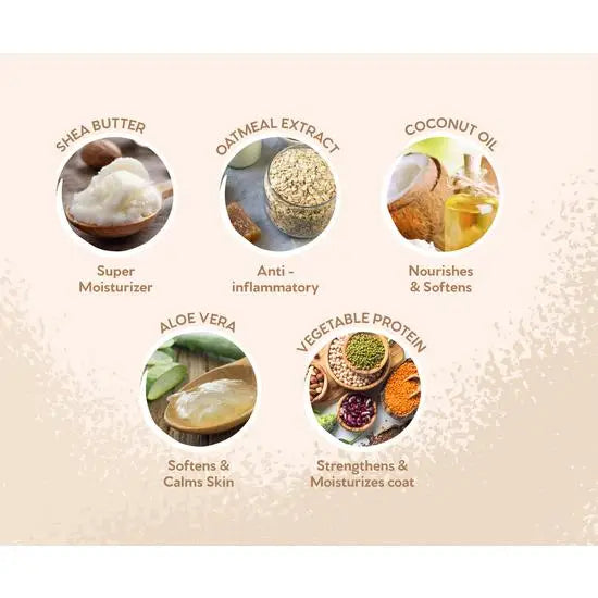 Pet Head On All Paws Sensitive Paw Butter for Dogs with Coconut