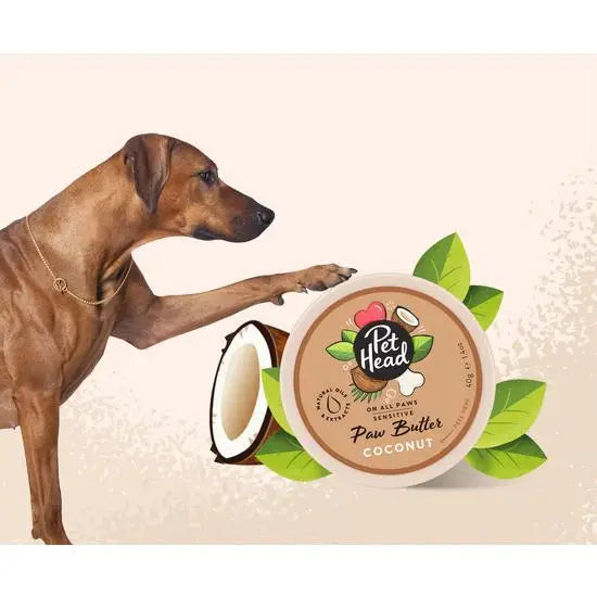 Pet Head On All Paws Sensitive Paw Butter for Dogs with Coconut