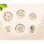 Pet Head On All Paws Sensitive Paw Butter for Dogs with Coconut