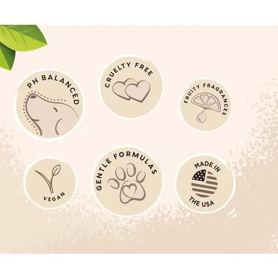 Pet Head On All Paws Sensitive Paw Butter for Dogs with Coconut