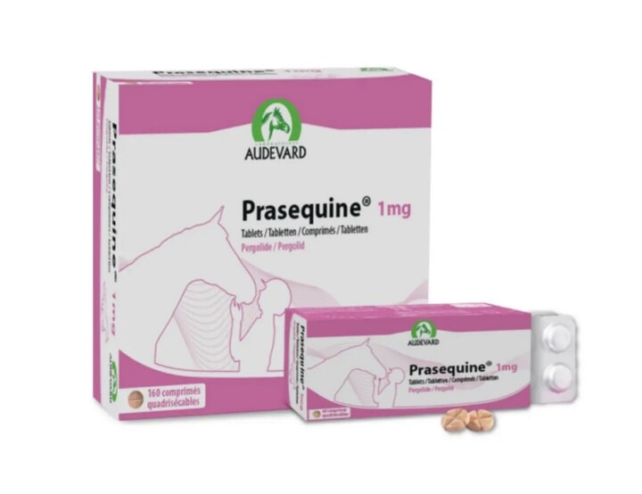 Prasequine 1mg Tablet for Horses
