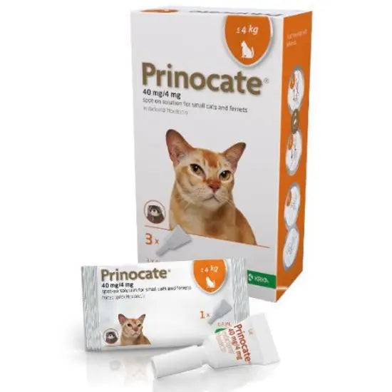 Prinocate® Spot-On Solution for Cats and Ferrets 40mg/4mg (up to 4kg)