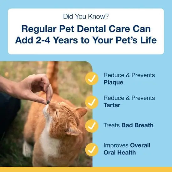 ProDen PlaqueOff® Dental Bites for Cats Salmon