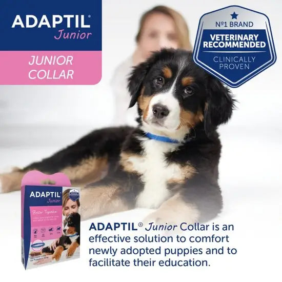 ADAPTIL® Junior Calming Dog Collar for Puppies
