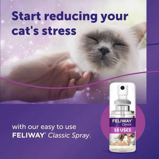 FELIWAY® Classic Cat Calming Spray