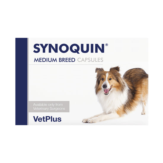 SYNOQUIN® Medium Breed Joint Support Supplement for Dogs