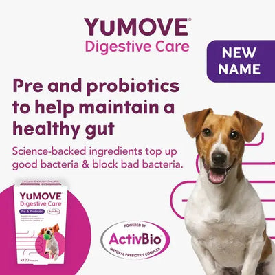 YuMOVE® Digestive Care for Dogs