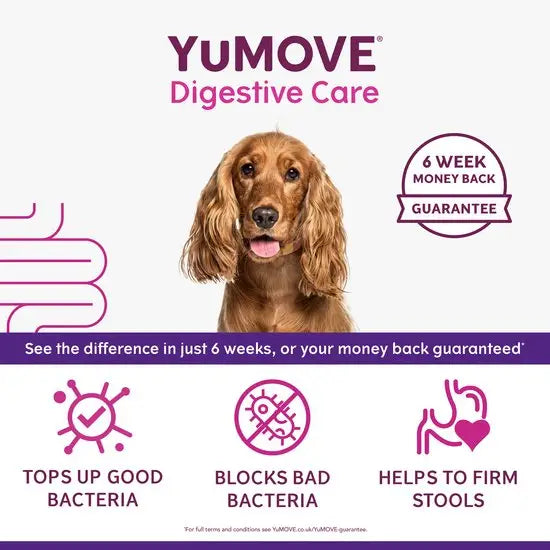 YuMOVE® Digestive Care for Dogs