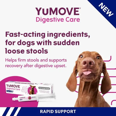 YuMOVE® Digestive Care Rapid Pre & Probiotic Paste for Large Dogs