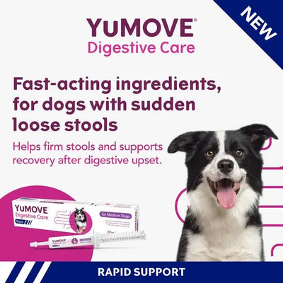 YuMOVE® Digestive Care Rapid Pre & Probiotic Paste for Medium Dogs
