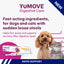 YuMOVE® Digestive Care Rapid Pre & Probiotic Paste for Small Dogs & Cats
