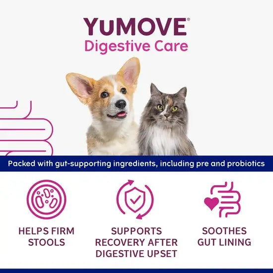 YuMOVE® Digestive Care Rapid Pre & Probiotic Paste for Small Dogs & Cats