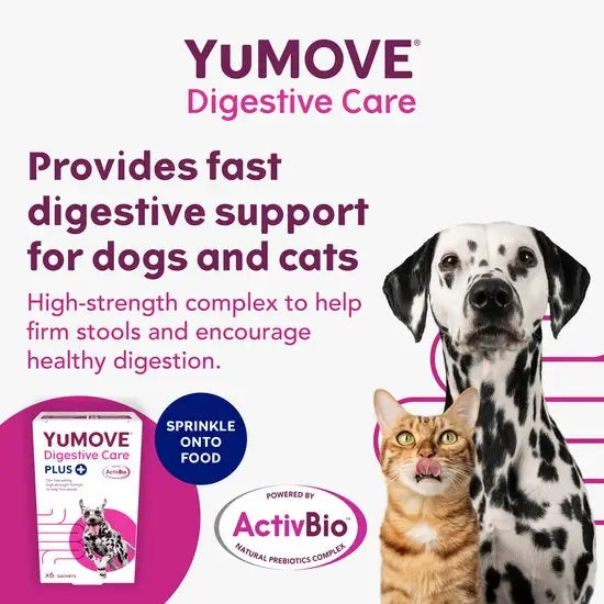 YuMOVE® Digestive Care PLUS for Cats and Dogs