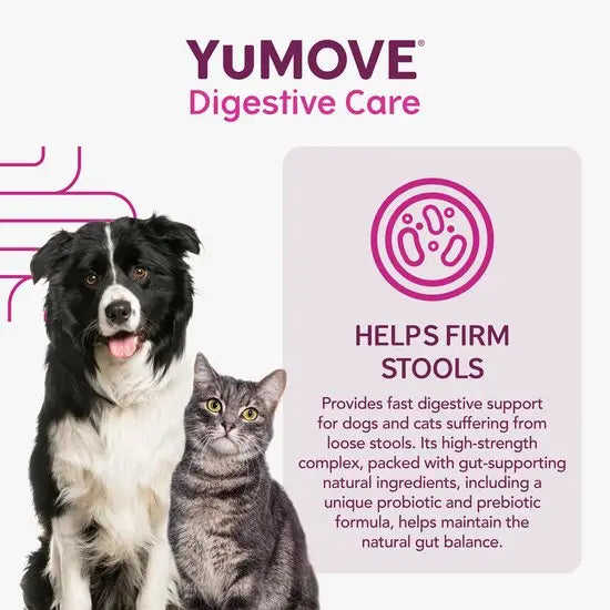 YuMOVE® Digestive Care PLUS for Cats and Dogs