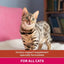 YuMOVE® Urinary Care for Adult Cats