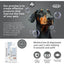 Zincoseb® Oil Balancing Soothing Shampoo for Dogs & Cats